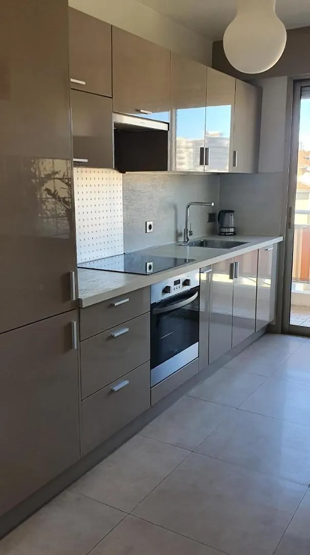 Bel Appartement Plein Centre Niza
